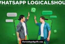 logicalshout updates whatsap